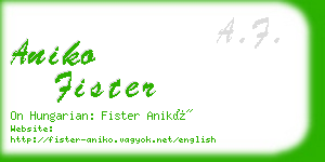 aniko fister business card